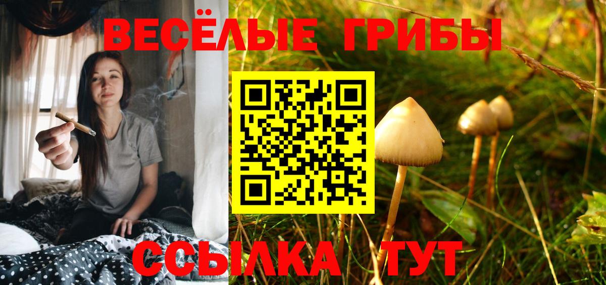 Славянск-на-Кубани  Галлюциногенные грибы ЛСД  Вход с VPN  Галлюциногенные грибы MAGIC MUSHROOMS 